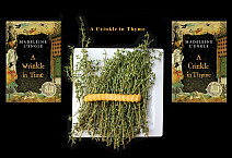 A Crinkle in Thyme by Carolyn Weigel