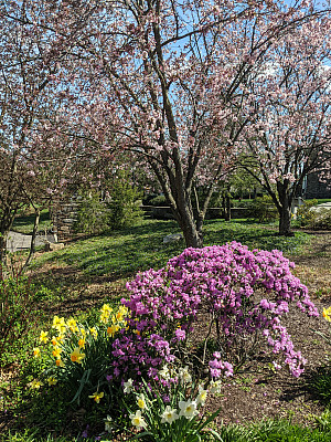 Spring in Bloom 2023