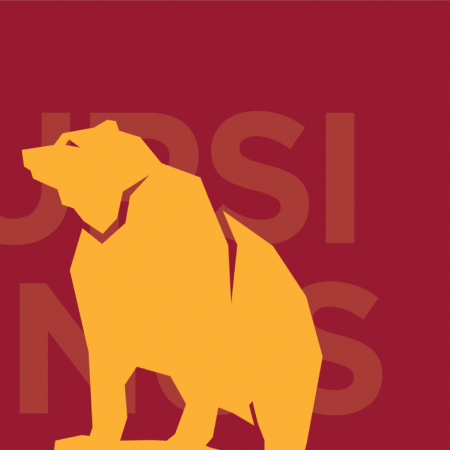 Placeholder image Ursinus College bootcamp graphic with an abstract golden bear and red background.