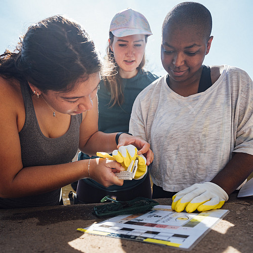 Students of Dr. Bove collect and measure crayfish in the Perkiomen Creek for research. - June 25, 2024