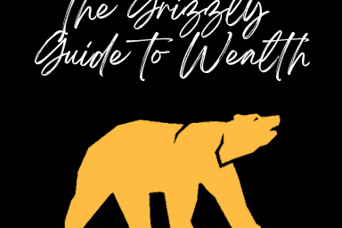Grizzly Guide to Wealth logo