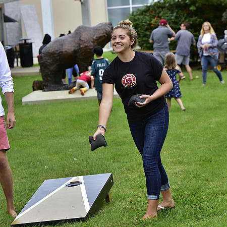 bag toss