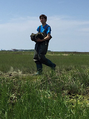 Jonathan Monkemeyer restoring living shoreline at Sea Isle NJ with NJ DEP