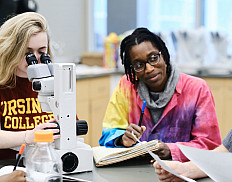 Students working together on a lab.