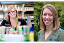    Dr. Rebecca Roberts (Biology) and Dr. Samantha Wilner (Chemistry) publish in the Journal of Chemical Education on the switch to emerge...