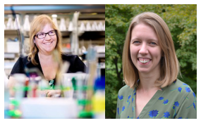 Dr. Rebecca Roberts (Biology) and Dr. Samantha Wilner (Chemistry) publish in the Journal of Chemical Education on the switch to emerge...