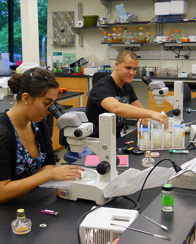 Biology Home 7