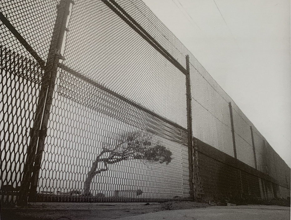 Enrique BostelmannApertures and BorderscapesJune 18 – December 15, 2024
