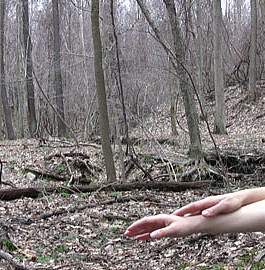 Cari Freno, Abandonment Schema/Tic, 2012.