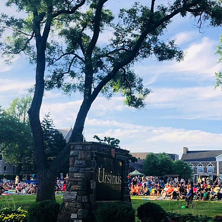 movies on the lawn