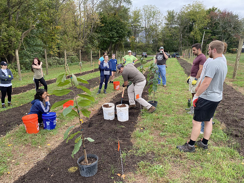 Food Forest Planting Phase II in Fall 2019.