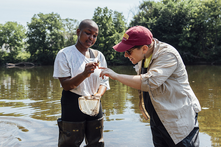 Students out by Perkiomen Creek collecting and measuring crayfish for research.
