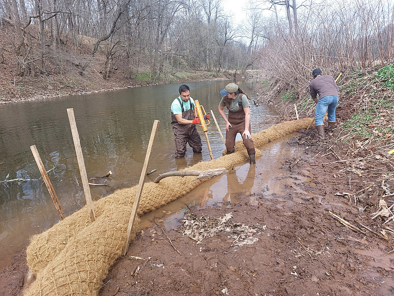 ENV students Jeff Cocci '23 (left) and Lexi Fowler '23 (center) install core logs with Ryan Beltz as part of the Arcola Island proje...