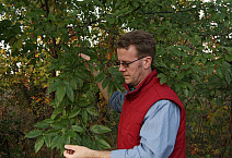 Groundtruthing plants along the bike path.