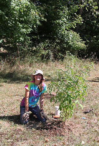 Planting trees as part of watershed conservation efforts in the Perkiomen.
