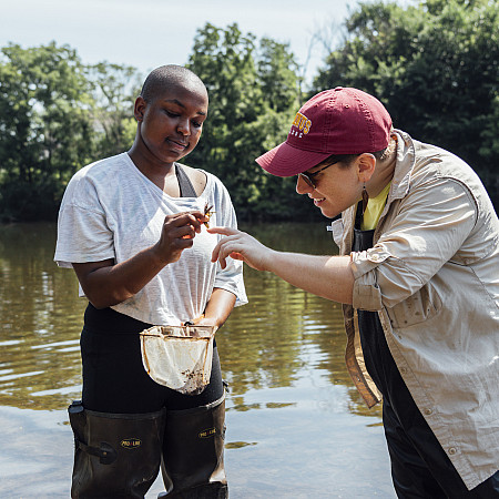 Students out by Perkiomen Creek collecting and measuring crayfish for research.