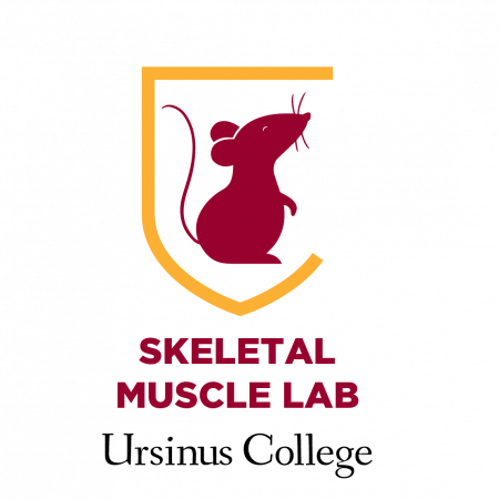 SkM Logo - Stacked