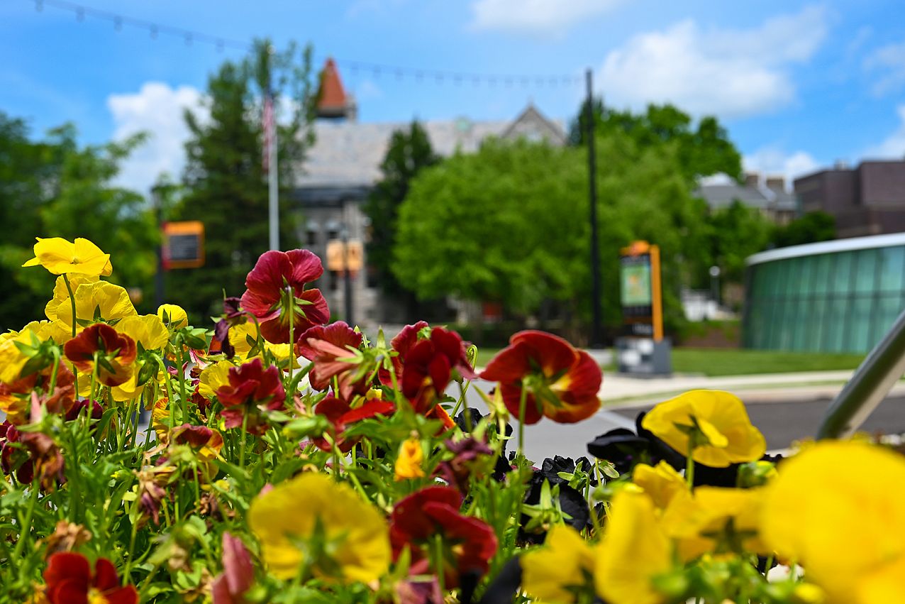 flowers in front of commons