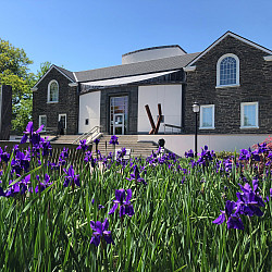 Outside of Berman with purple spring flowers.