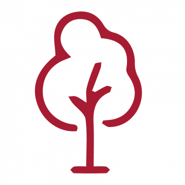 Maroon tree icon.