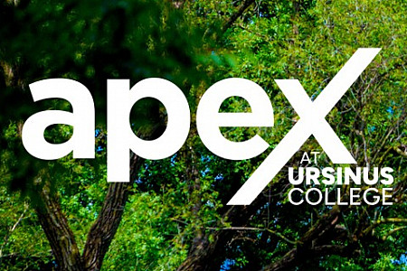 apex with photo