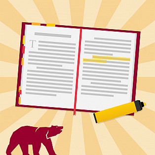 Illustrated graphic of open text book with a highlighter and Ursinus College bear.