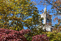 Fall on campus near Pfahler Hall.