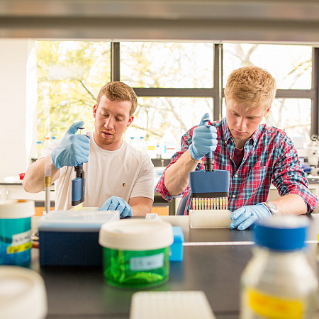 In the UC lab.