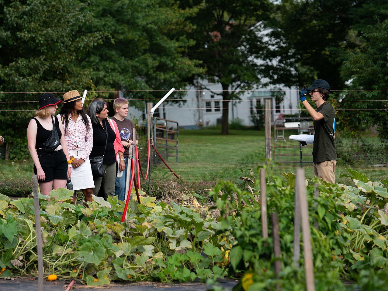 organic farm 2022