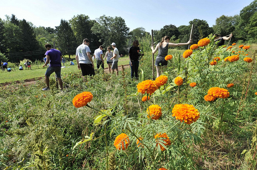 Community Service Day Organic Farm (1)